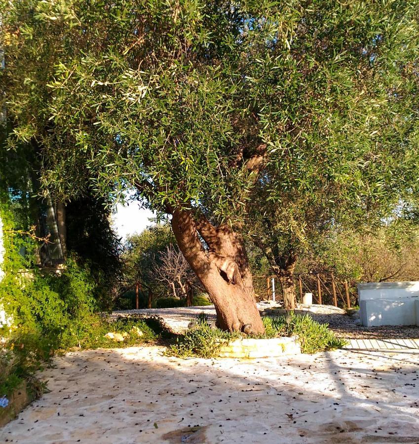 Ostuni profumo di Provenza Villa Esterno foto